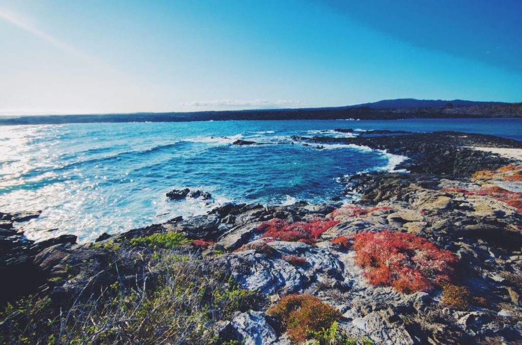 Beautiful Galapagos island