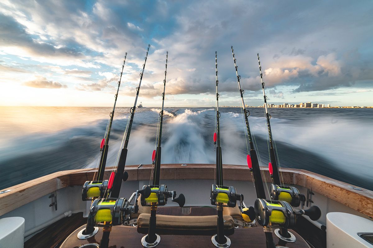 Cedros island fishing paradise you should visit this year