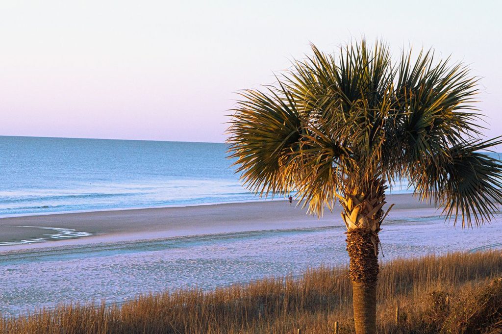 South carolina beach, islands for rent