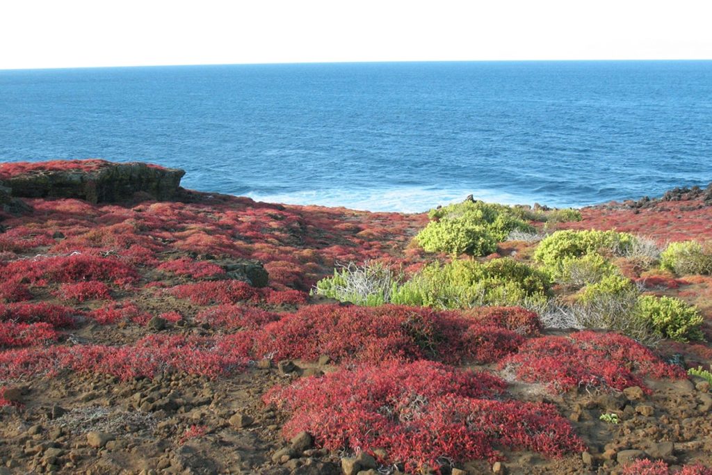 Galapagos Island