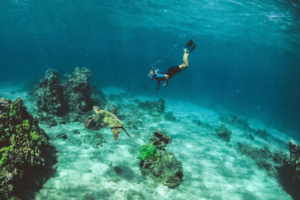 hawaii snorkelling