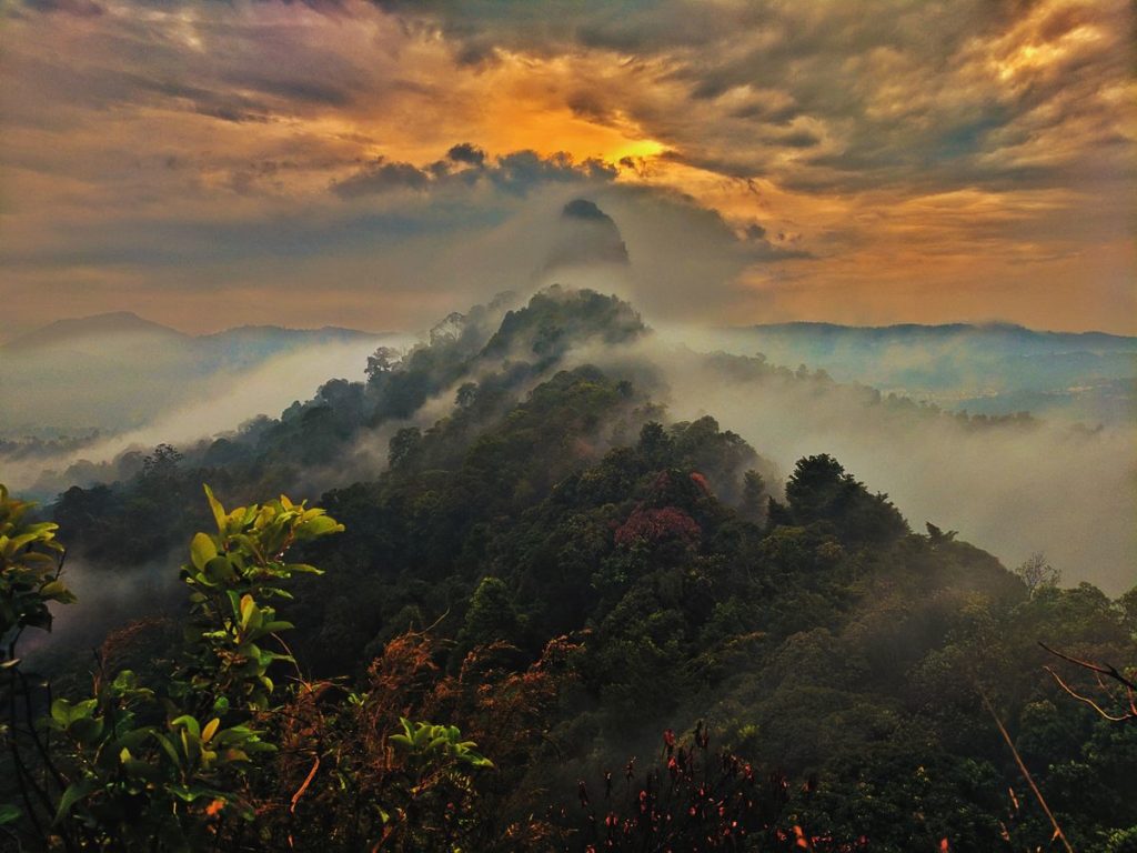 Malaysia mounds