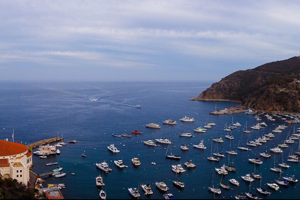 Santa Catalina island