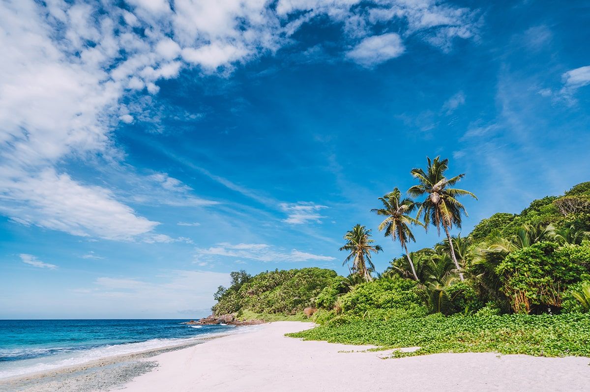 Secluded life on island. 3 unique stories