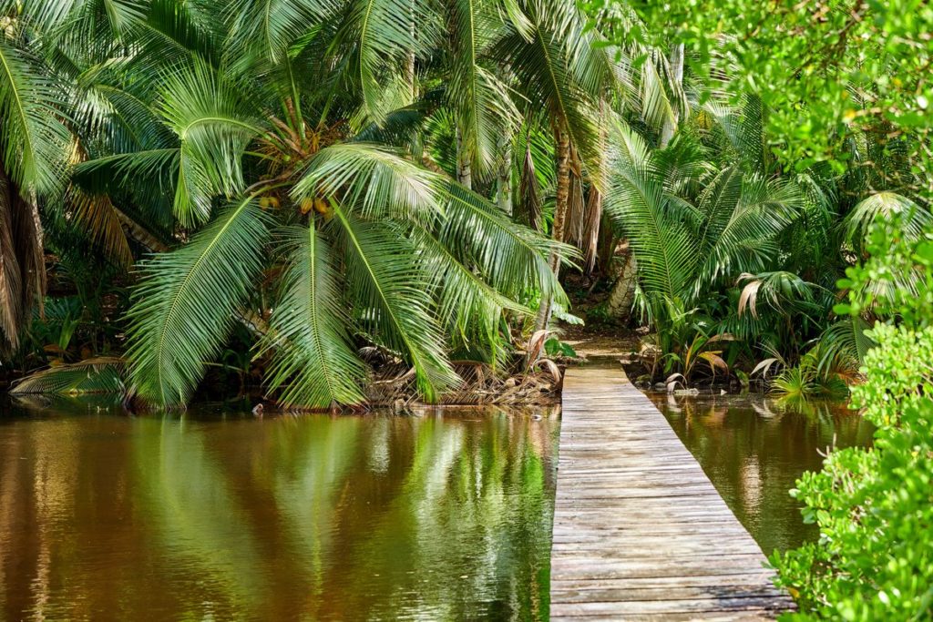 private islands in Seychelles