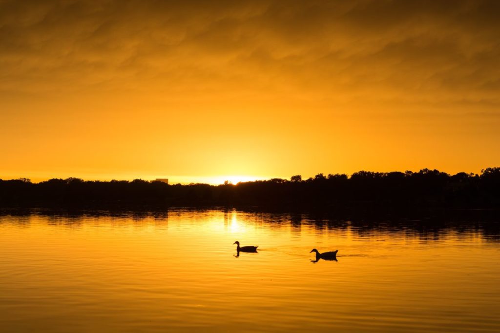 Uganda lake beauty