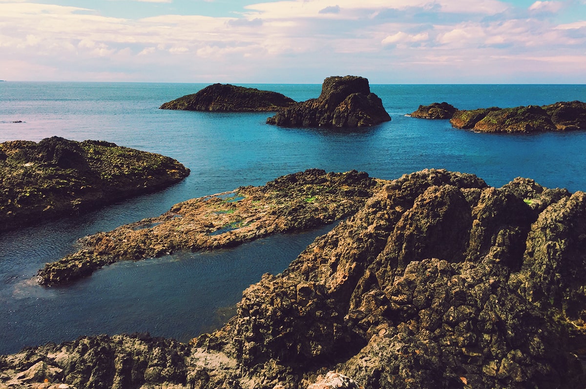 The newest islands on Earth formed in the last 20 years