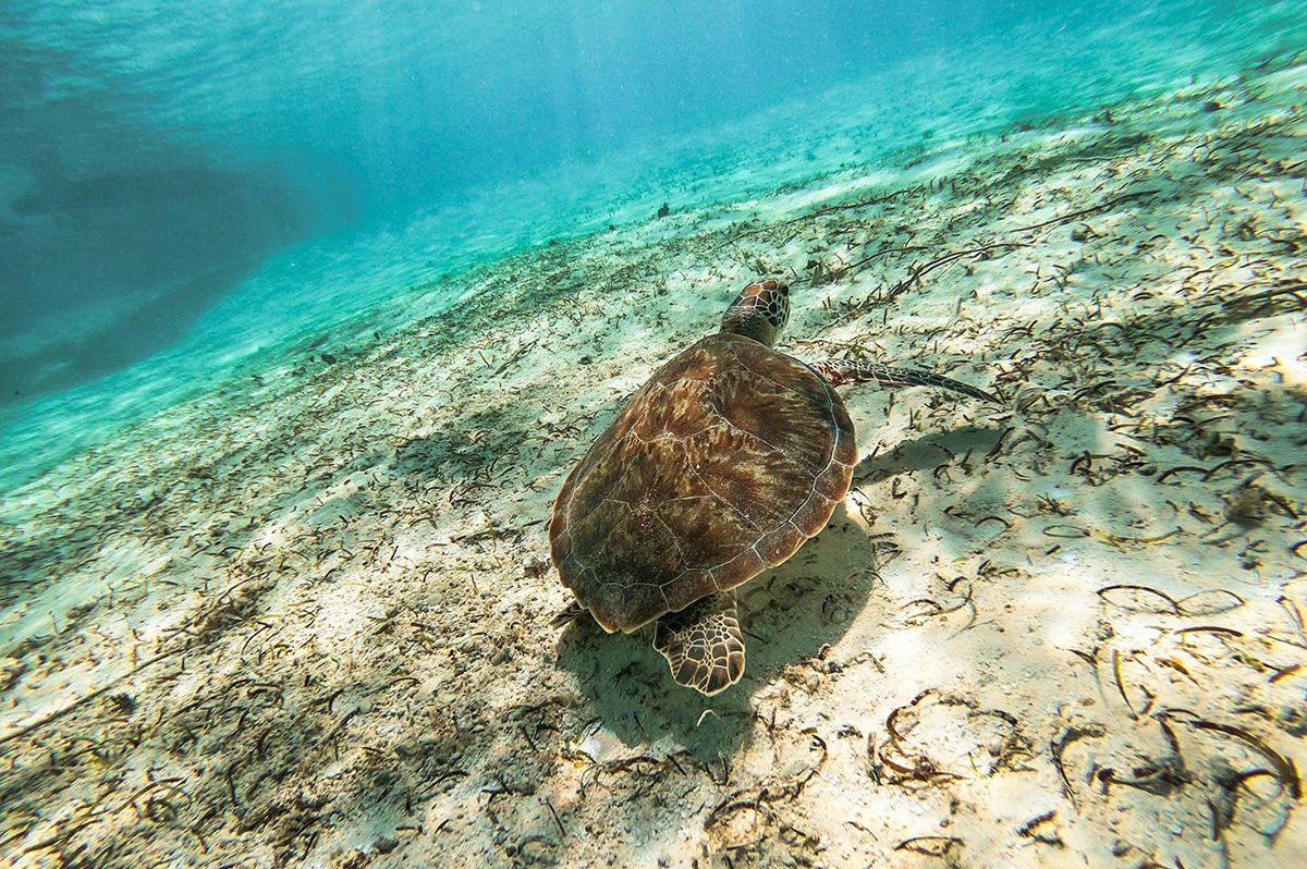 San Andres Island: Traveling to a New Destination - Find Islands