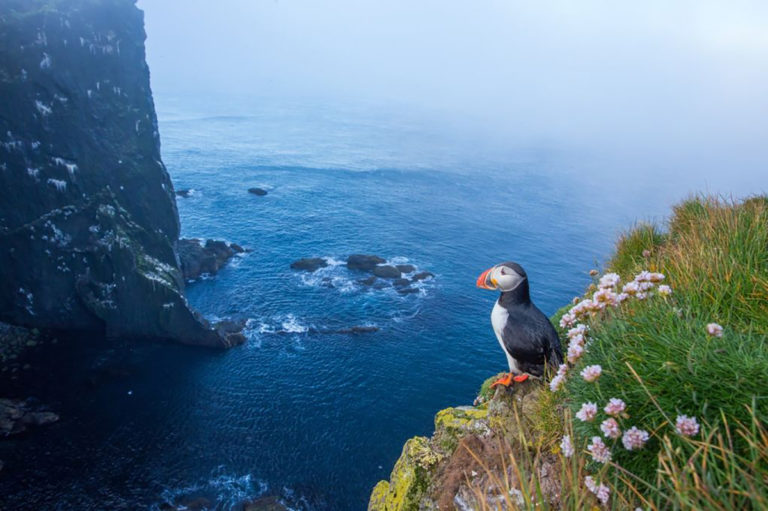 Ellidaey and the loneliest house in the world - Find Islands