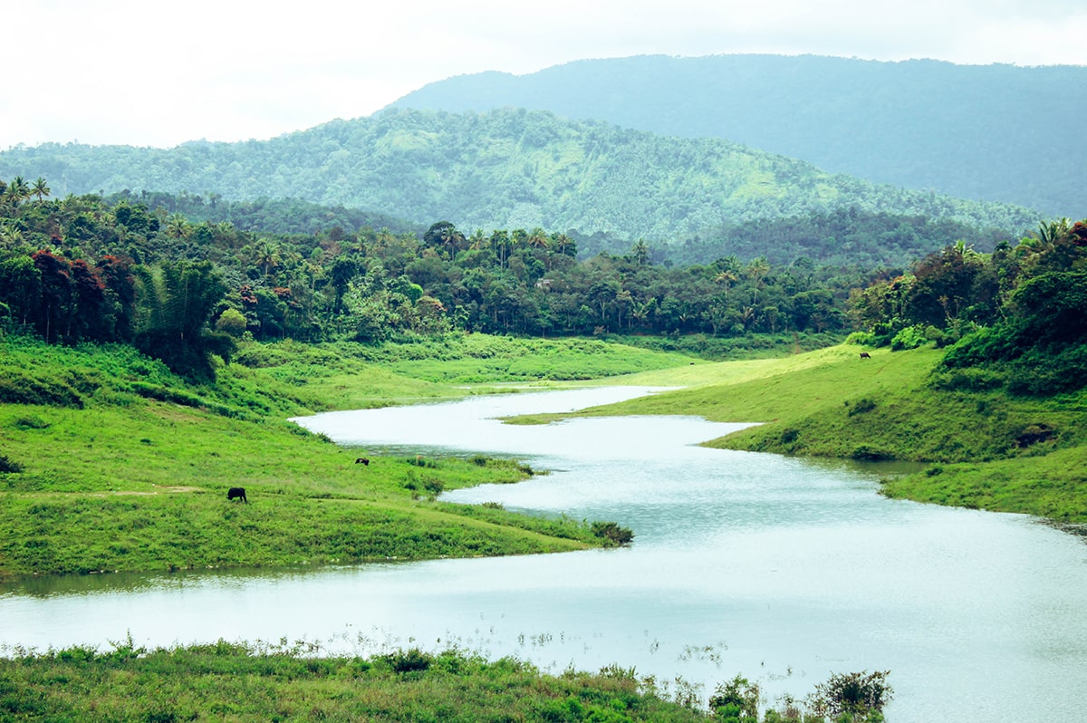 Piyali Island. A full guide for tourists in India