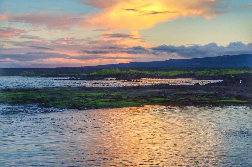 Galapagos island vacation