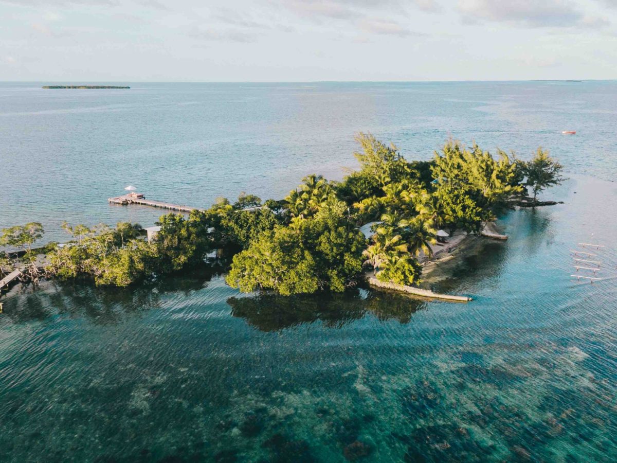 Coral Caye by Francis Ford Coppola 2