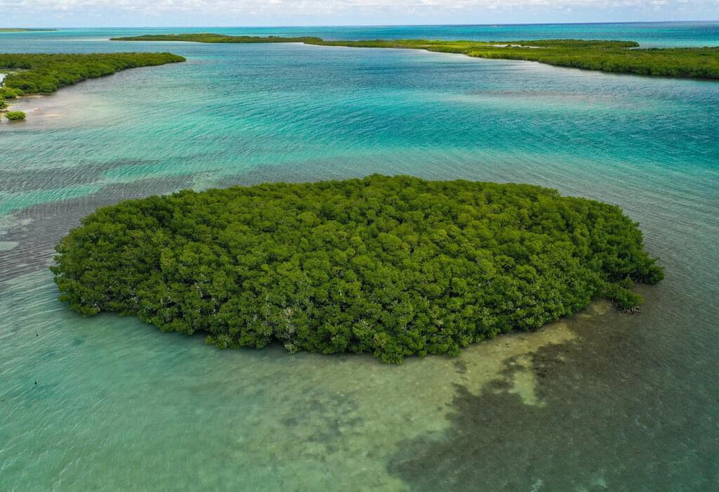 2-Acre Private Island Near the Great Blue Hole 2