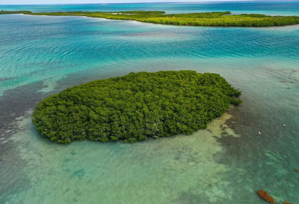 2-Acre Private Island Near the Great Blue Hole 3