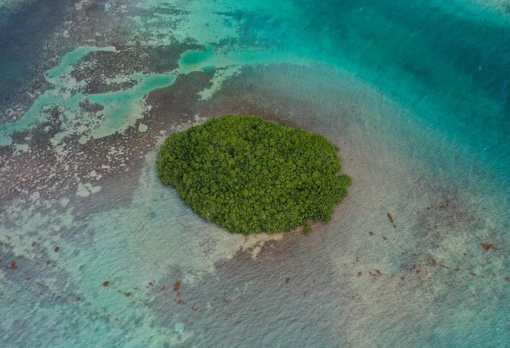 2-Acre Private Island Near the Great Blue Hole 11