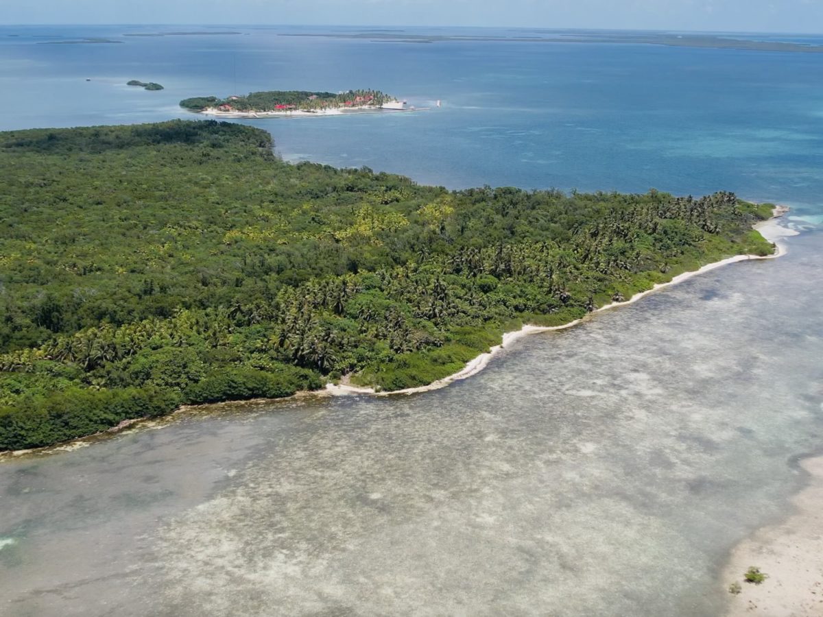 Caye Bokel 2