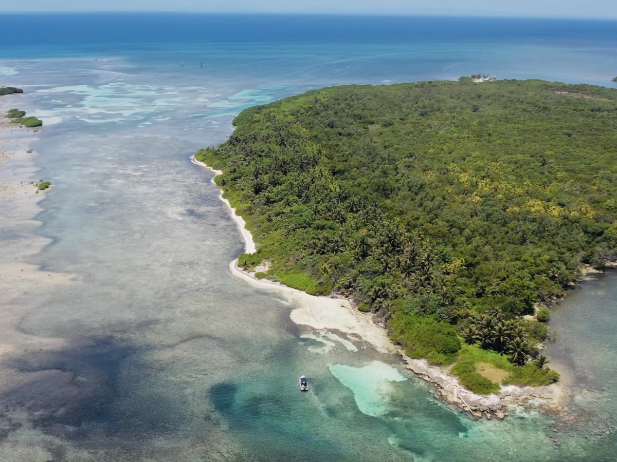 Caye Bokel 5