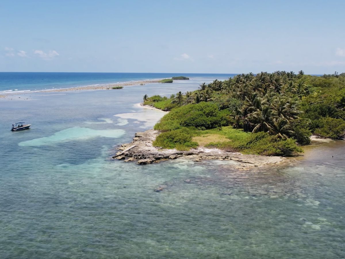 Caye Bokel 13