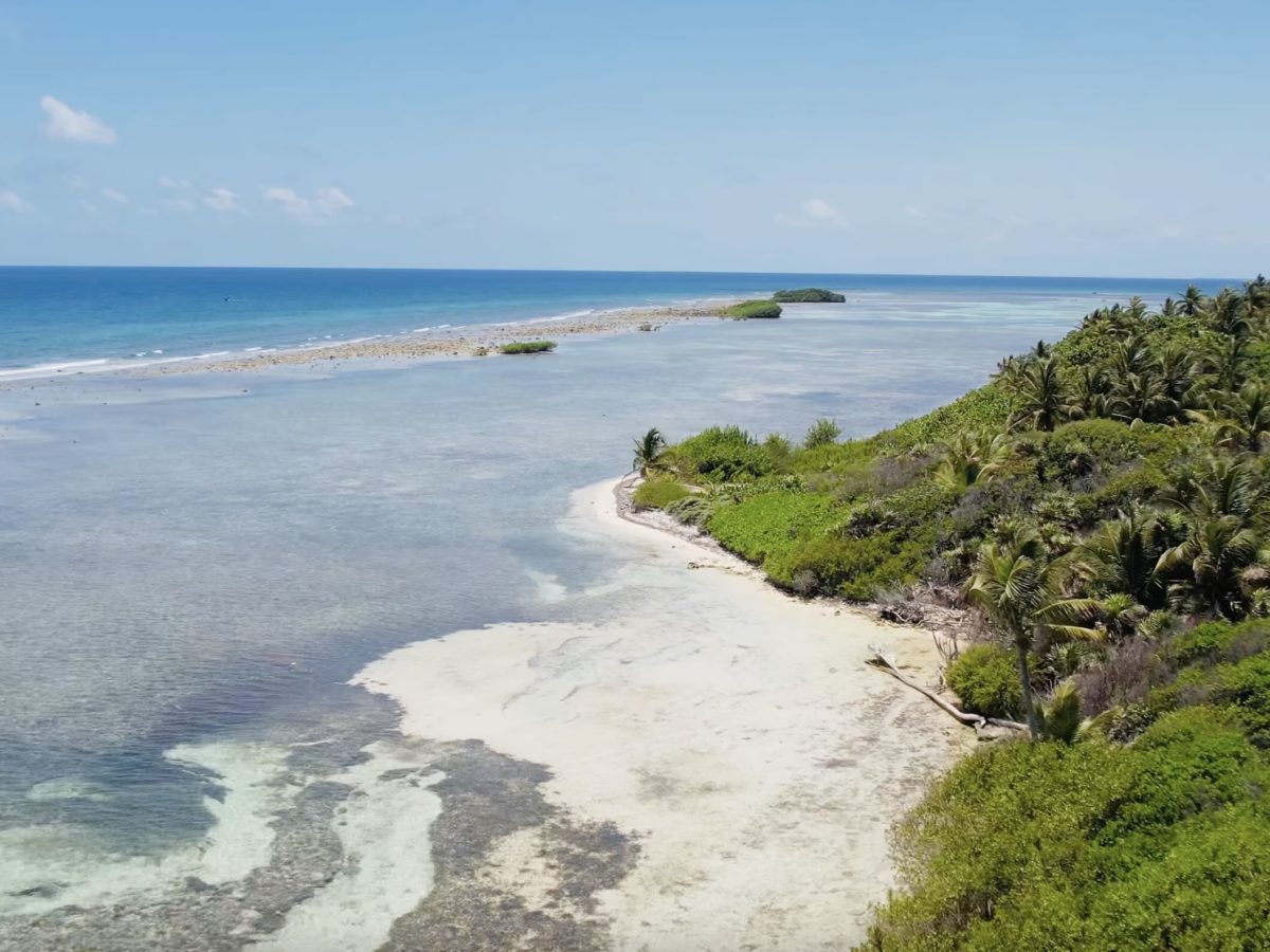Caye Bokel 14