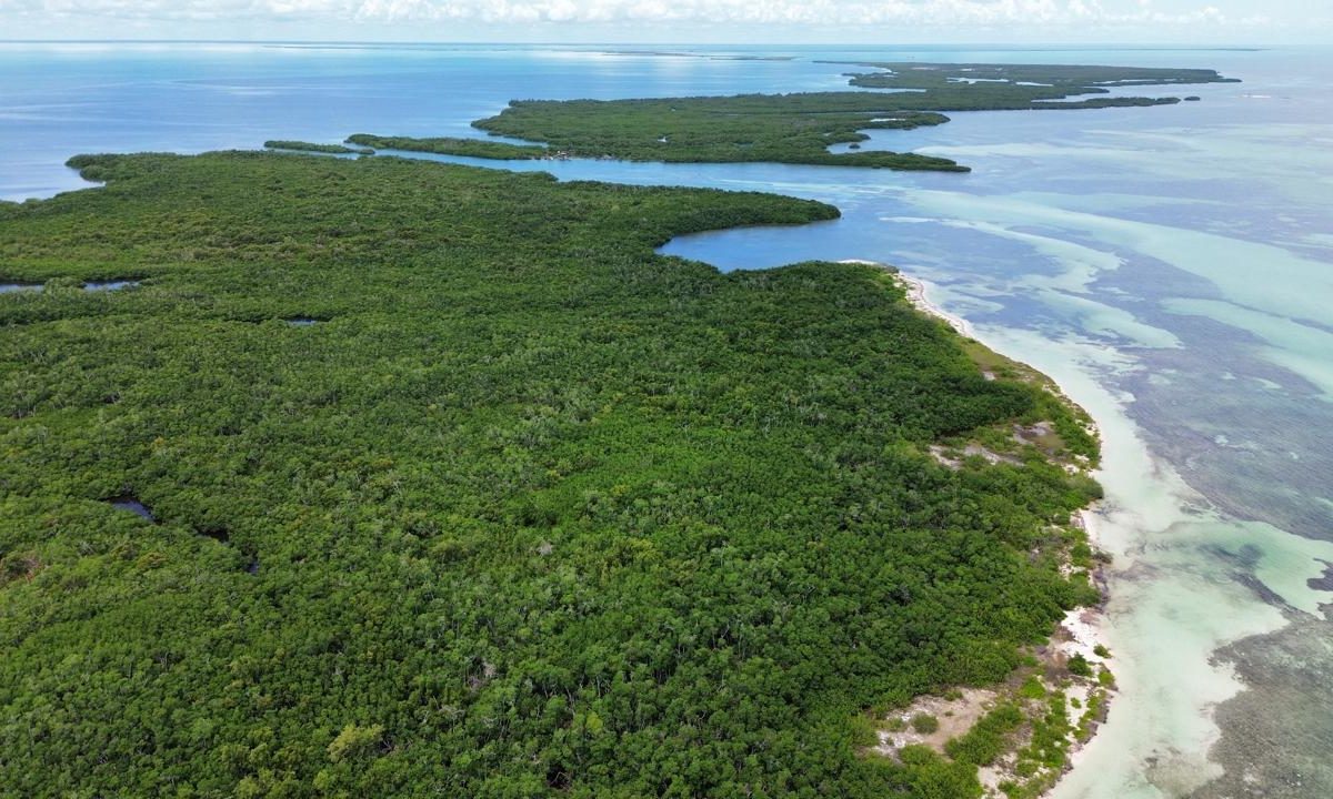 Frenchman’s Caye 5