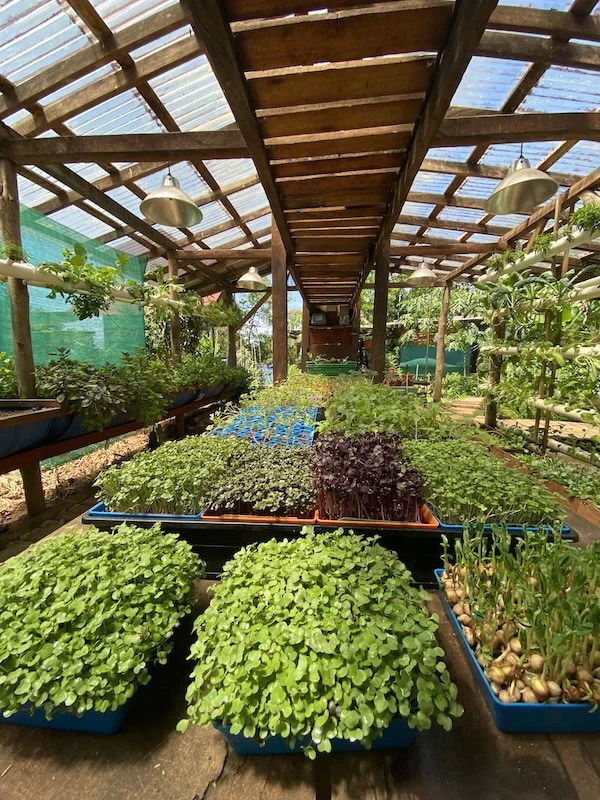 SoulFire Farm – Isla Solarte 12