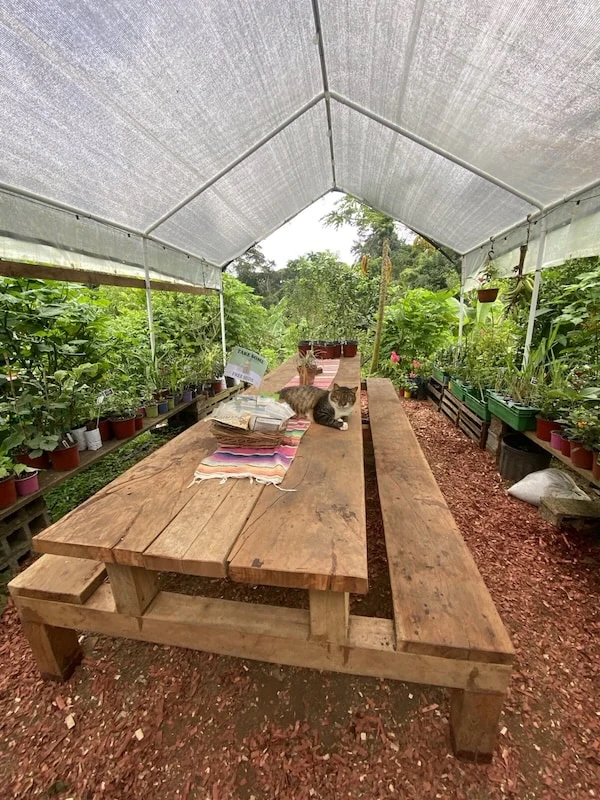 SoulFire Farm – Isla Solarte 13