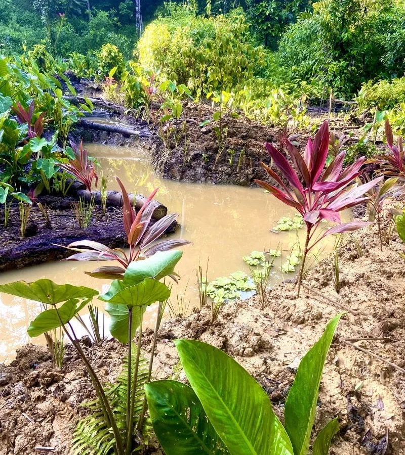 SoulFire Farm – Isla Solarte 15