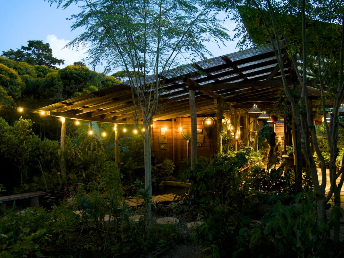 SoulFire Farm – Isla Solarte 17