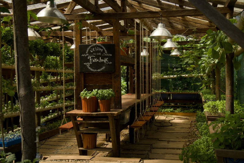 SoulFire Farm – Isla Solarte 19