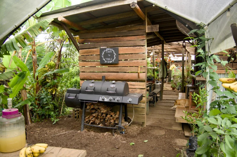 SoulFire Farm – Isla Solarte 21