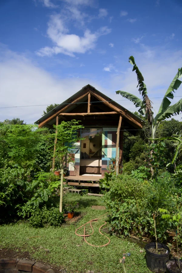 SoulFire Farm – Isla Solarte 23