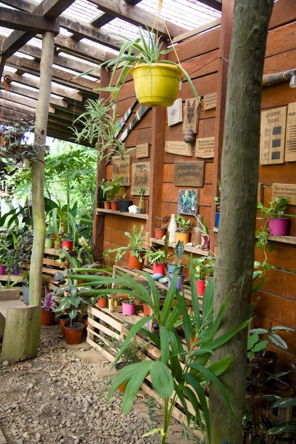 SoulFire Farm – Isla Solarte 24