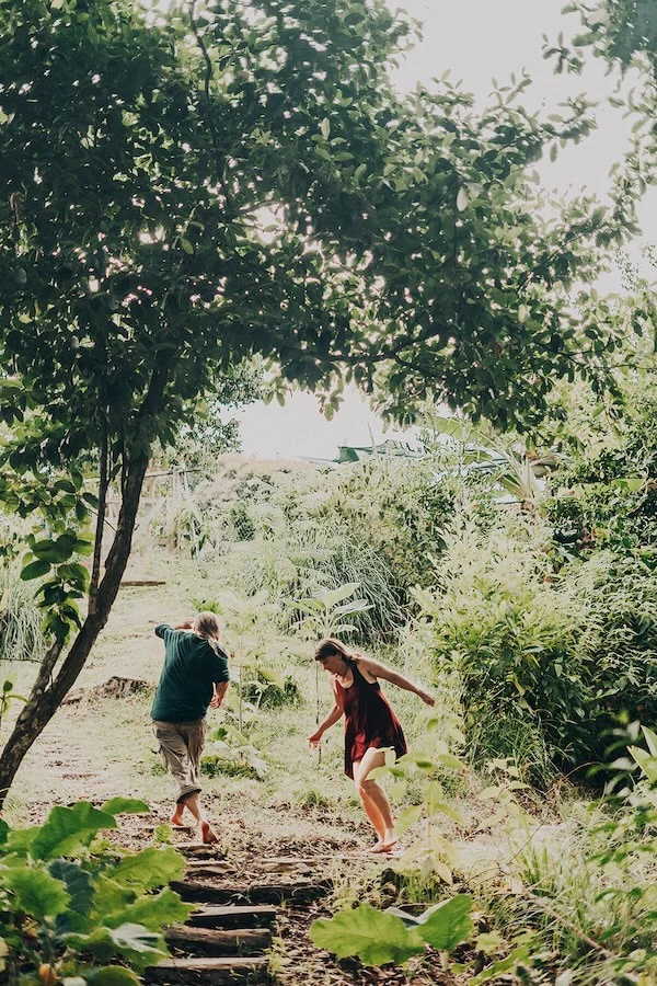 SoulFire Farm – Isla Solarte 28