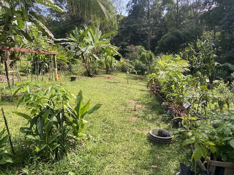 SoulFire Farm – Isla Solarte 31
