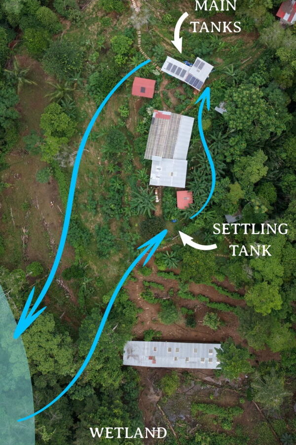 SoulFire Farm – Isla Solarte 33